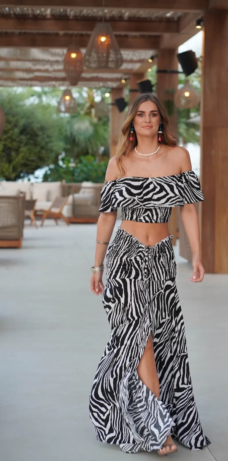 Butterfly set Zebra print