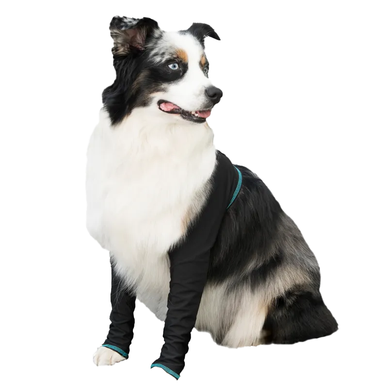 Canine Comfort & Care Sleeves